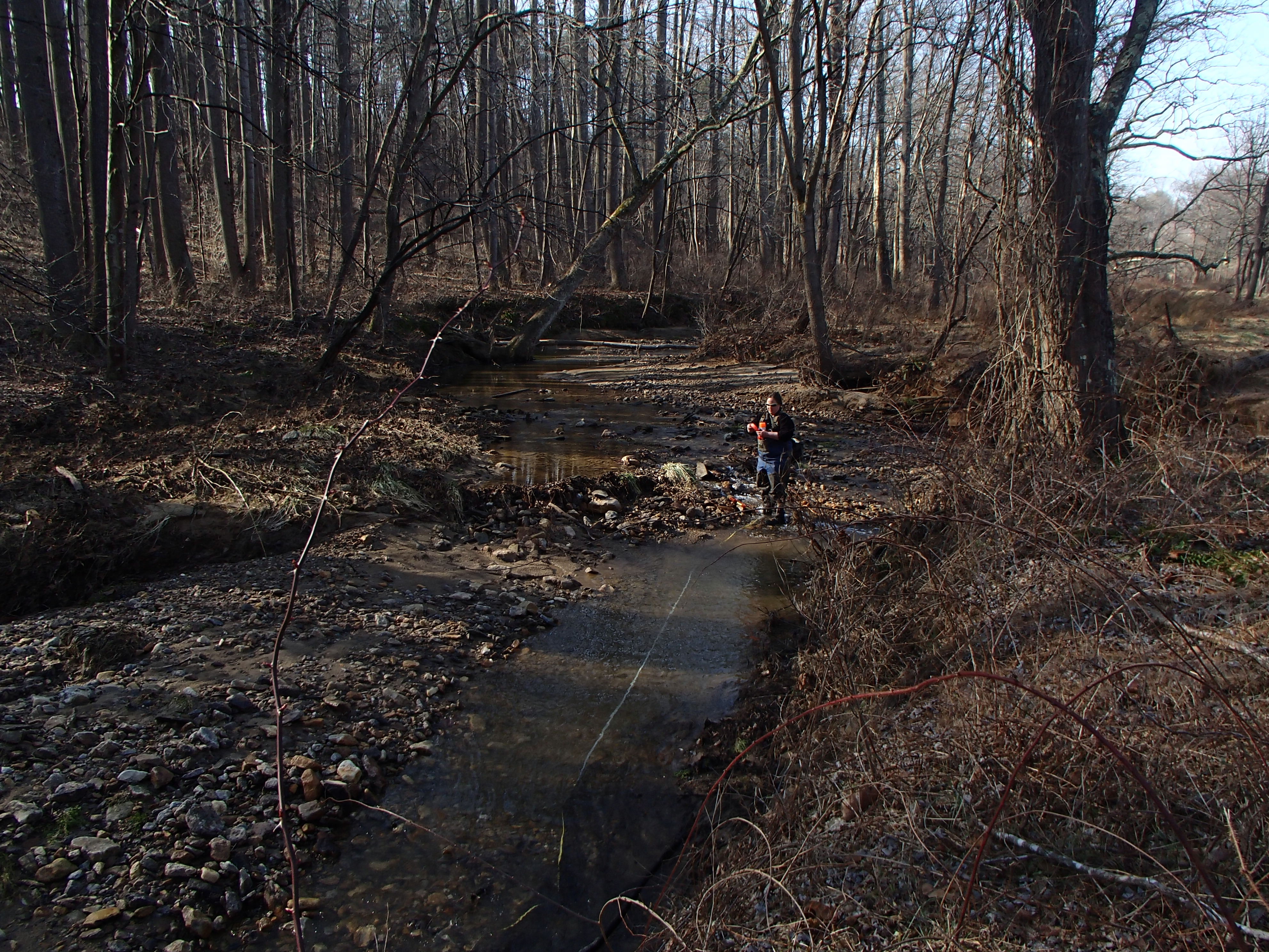 Field photo showing stream conditions at site RKGR-107-R-2016_midpoint looking upstream